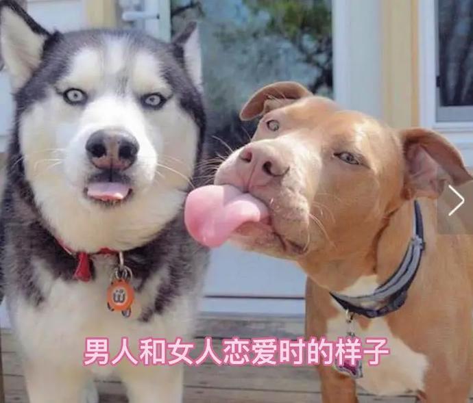 夫妻间的幽默搞笑瞬间 夫妻间的幽默搞笑瞬间