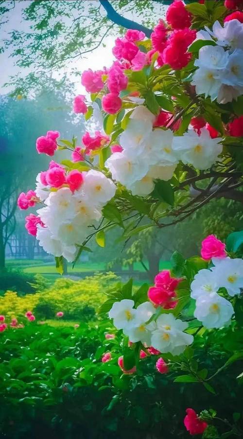 花香醉人心