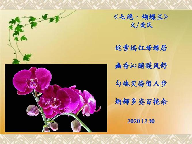 幽梦清韵，蝶舞兰香