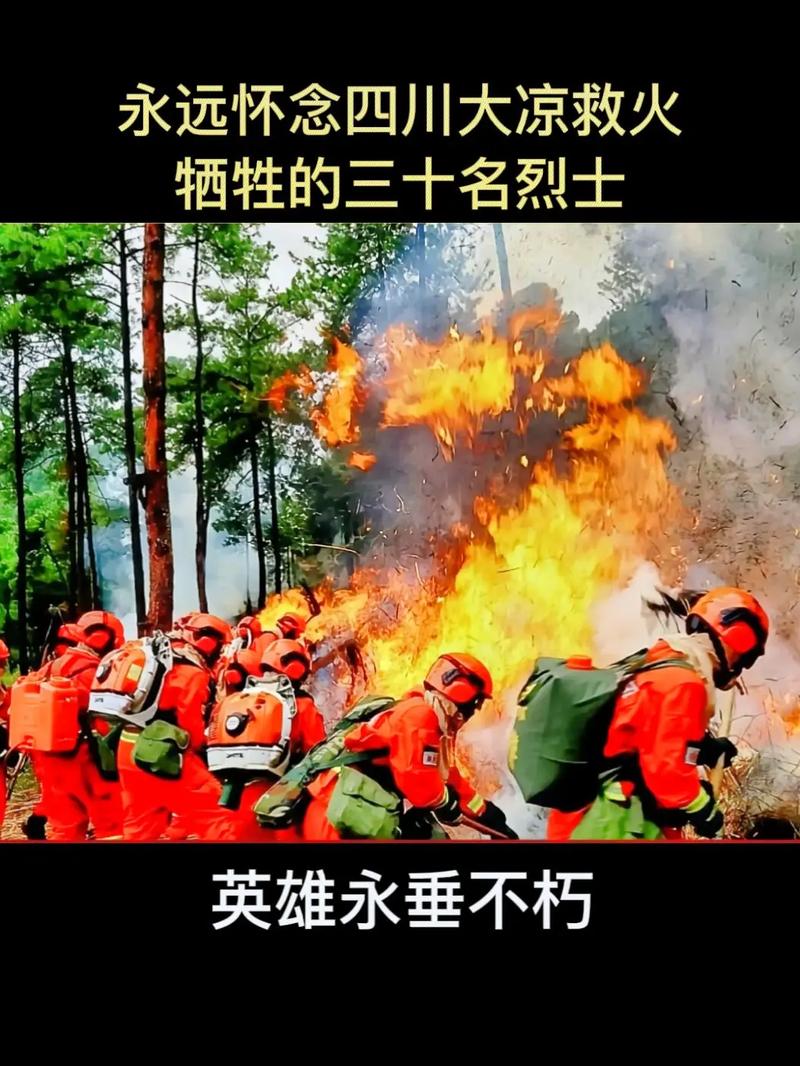 英雄赞歌：凉山大火悼念与祈福