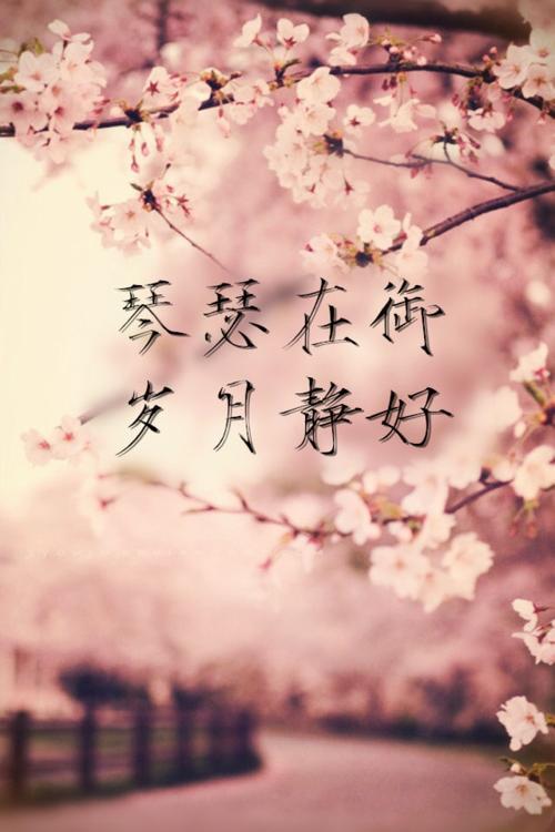 岁月静好，等待花开