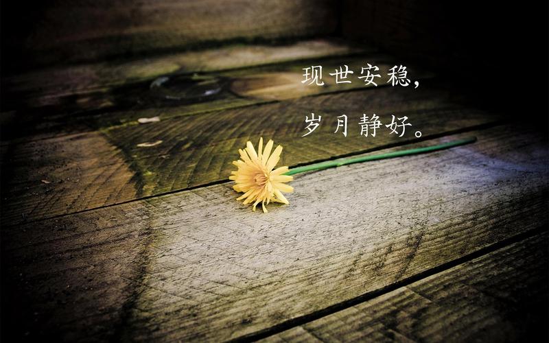 时光流转岁月静好