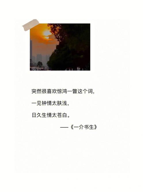 苍白的语言,掩饰不住的阴霾 苍白的语言,掩饰不住的阴霾