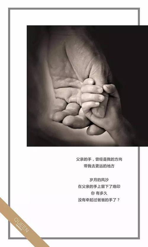 父影重走万里路，病床见证岁月痕