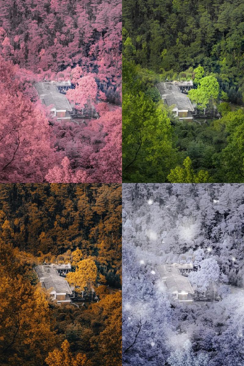 四季更替,生活百态 四季更替,生活百态