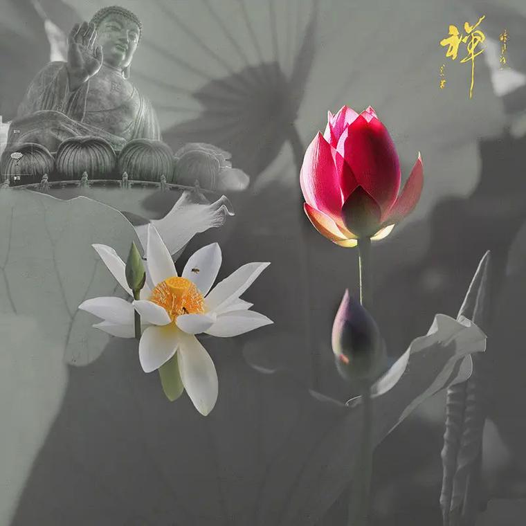 禅意盎然:烟雨佛心,思念花开 禅意盎然:烟雨佛心,思念花开