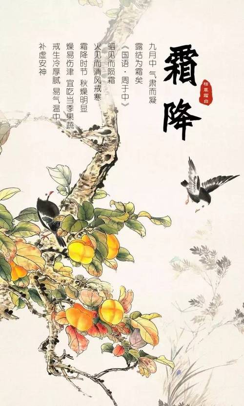 霜降菊黄重阳登高