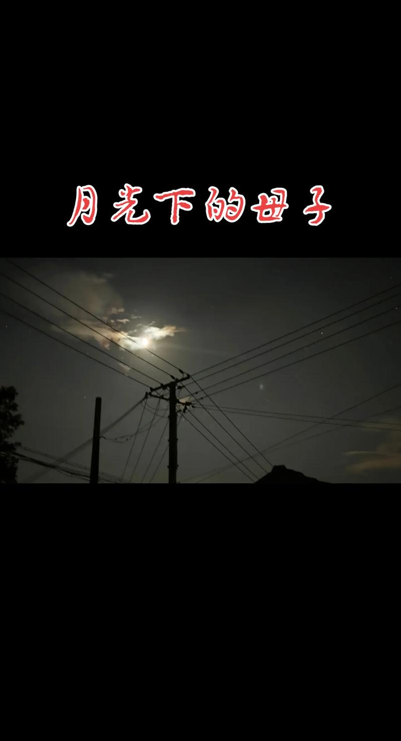 月光下的母爱