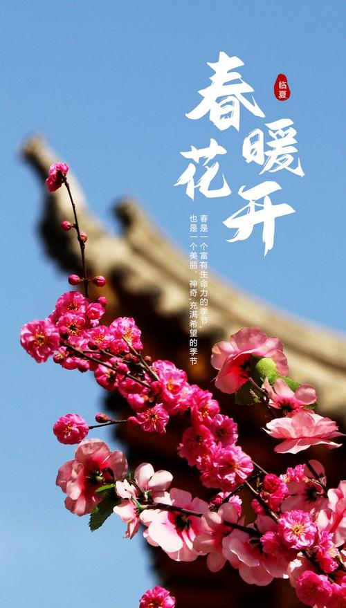 春暖花开时,我与你的浪漫邂逅 春暖花开时,我与你的浪漫邂逅