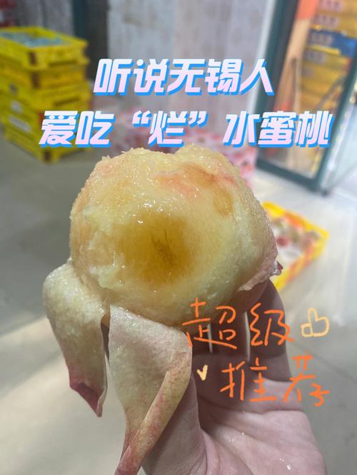 水蜜桃与烂山芋：一段跨越阶级差距的青春回忆