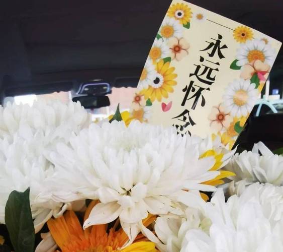 古稀之年的感慨：年轻时贪凉损害健康，晚年如何弥补遗憾？
