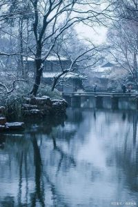 江南雪舞：诗意飘零，纯净如画