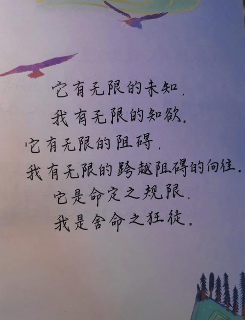 精辟的人生哲理一句话_拥抱阳光热爱，享受生活点滴，婚姻坚守独立，珍惜当下，让爱与和平伴随生命长青