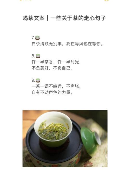 品茶品味人生的句子_茶如人生，需耐心体会，洗涤心灵，领悟生活智慧