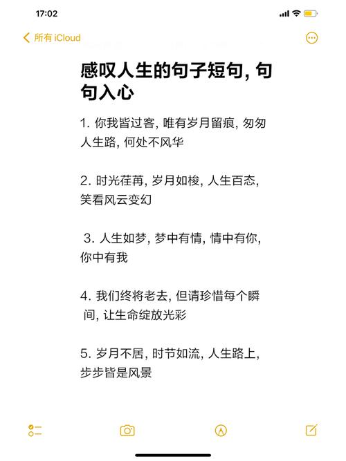 语录大全 人生感悟_勇敢面对人生挑战，从平凡生活中汲取智慧，珍惜当下，发现美好，照亮前路